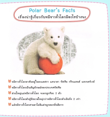Nanook The Baby Polar Bear ผมชื่อนานุกลูกหมีขาวแห่งขั้วโลกเหนือ